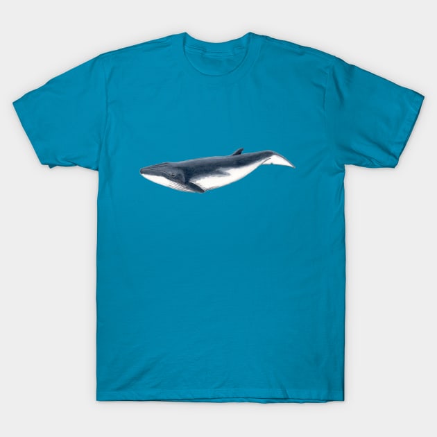 Baby whale T-Shirt by chloeyzoard